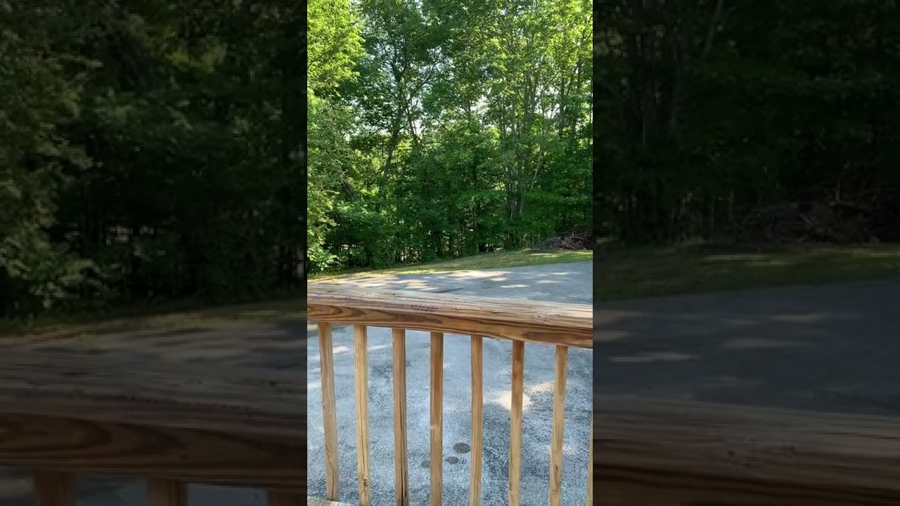 Ponderosa