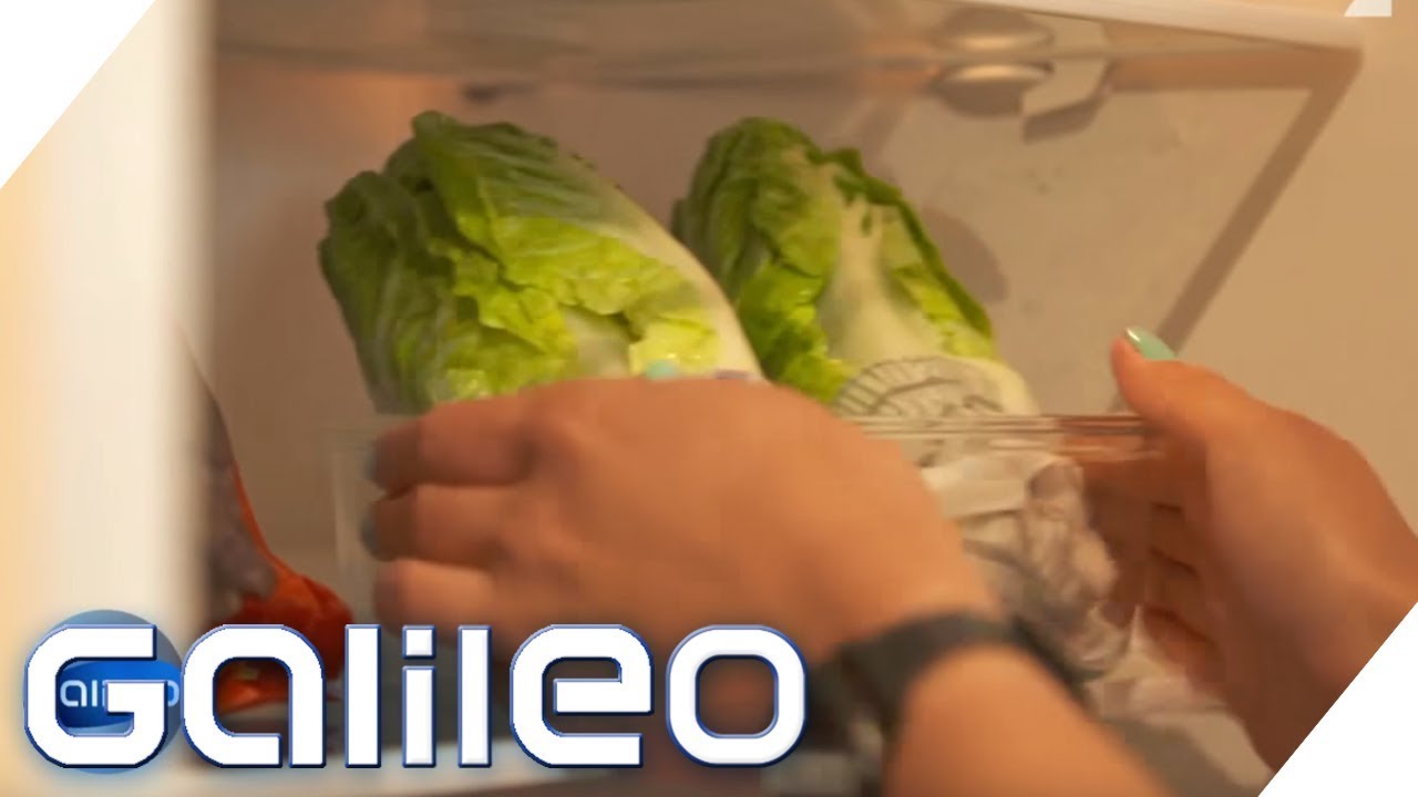 Checkerwissen rund um den Kühlschrank | Galileo | ProSieben