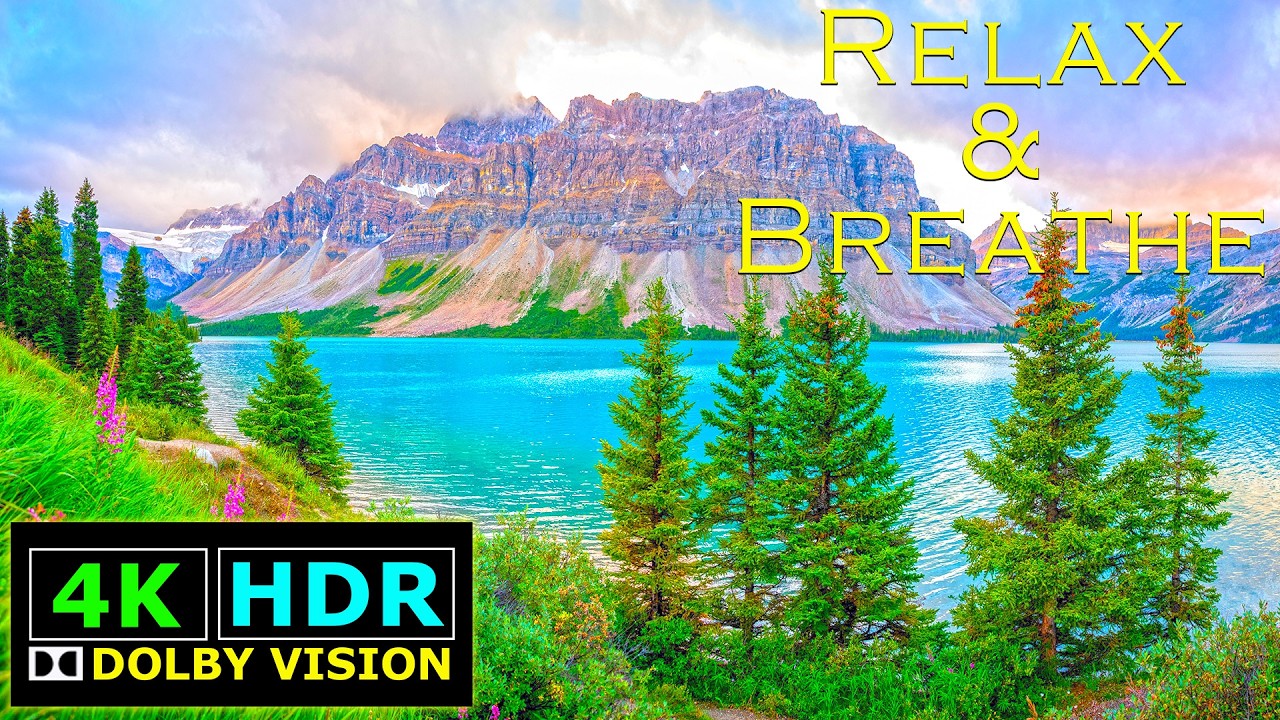 Relaxation with Lovely Nature | Deep Calm 4K HDR Ambient Film with Relaxing Music