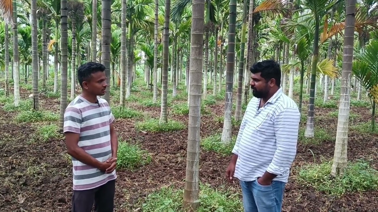 ಕಡಿಮೆ ಖರ್ಚಿನಲ್ಲಿ ಬದಲಾಯಿತು ನನ್ನ ತೋಟ
