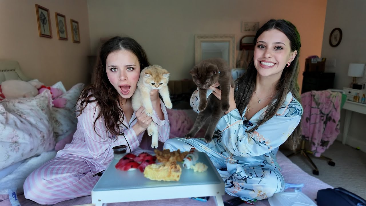 Sushi And Cats 🐱🍣