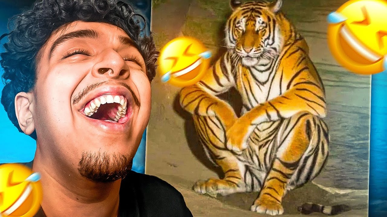 FLAMBY NE DOIT PAS RIGOLER A VOS MEMES BIZARRES...💀🤣