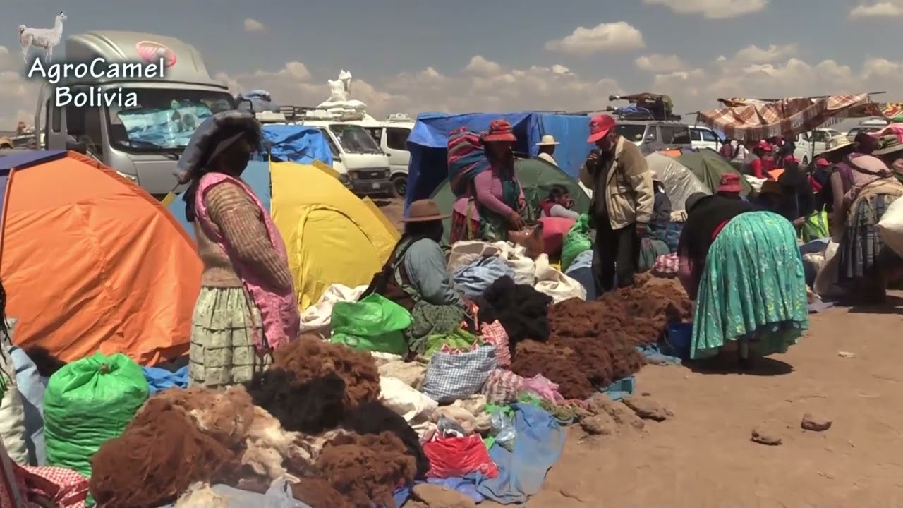 Feria del Trueque en La Paz BOLIVIA