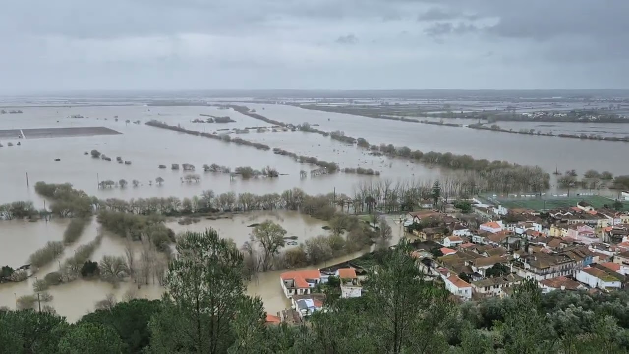 7 de fevereiro de 2026