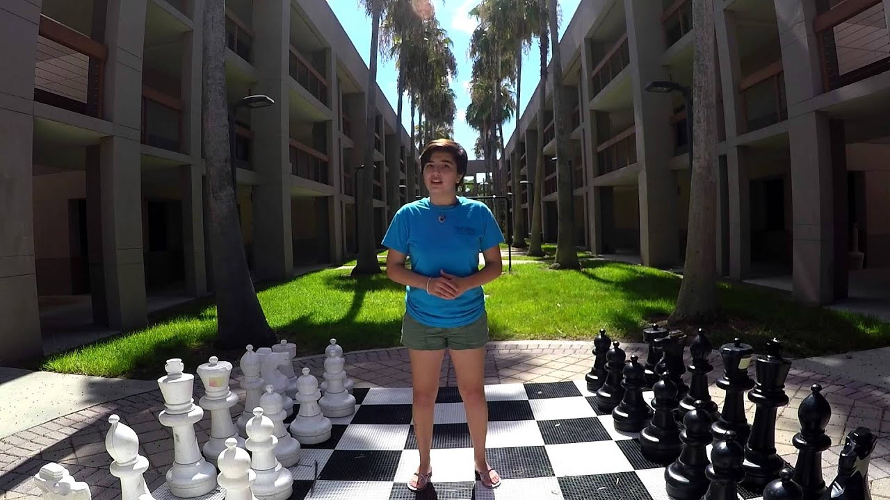 Dort & Goldstein dorms
