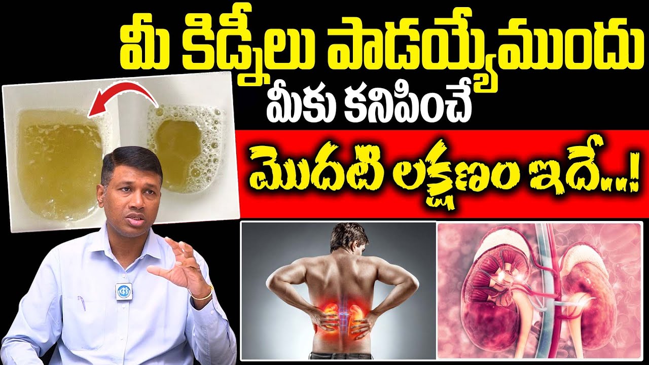 కిడ్నీలు ప్రమాదంలో ఉంటే కనిపించే లక్షణాలు | Kidney Disease Symptoms In Telugu | Dr. P Vikranth Reddy