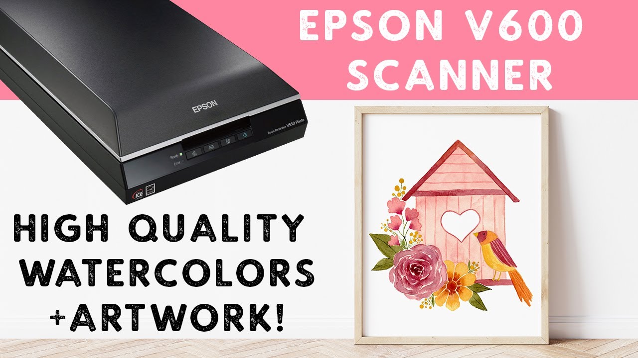 Как сканировать акварельные иллюстрации и рисунки — сканер Epson V600