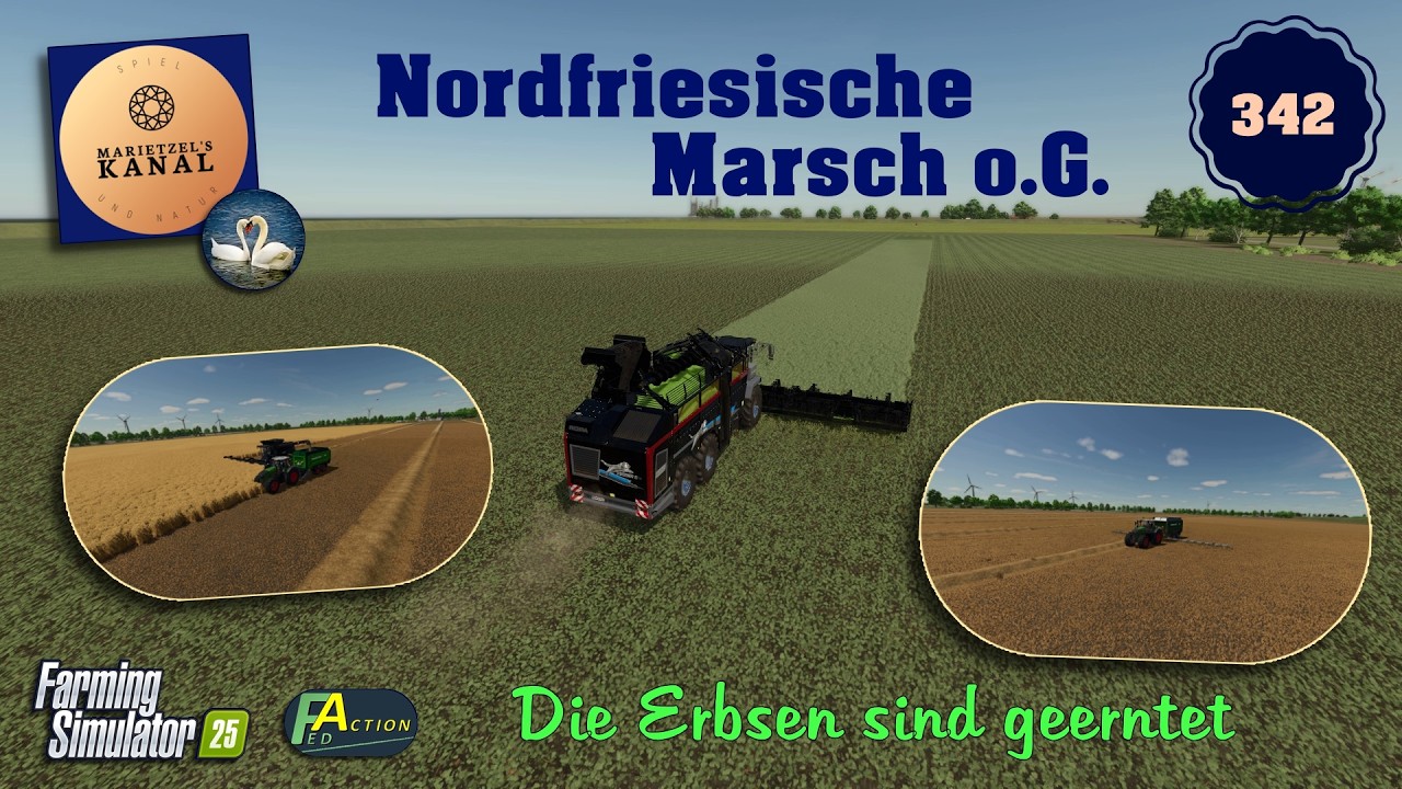 LS 25  Nordfriesische Marsch o.G.  - 342 -  Die Erbsen sind geerntet