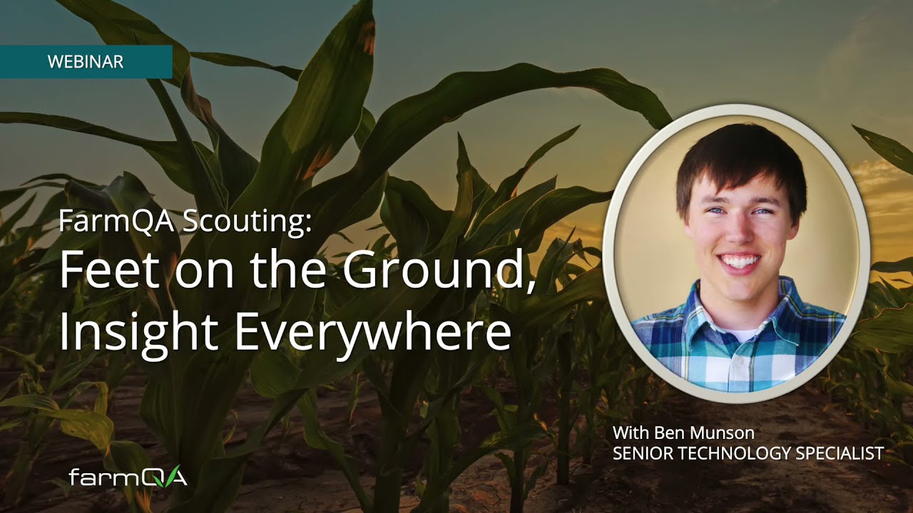 Scouting Overview: Feet on the Ground, Insight Everywhere
