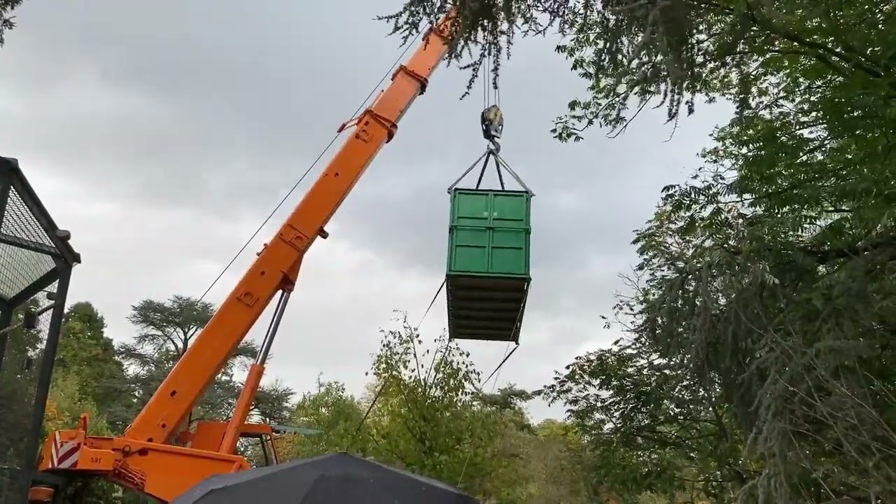 Nashorndame Mara trifft in Krefeld ein