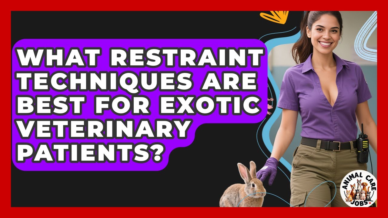 What Restraint Techniques Are Best For Exotic Veterinary Patients? - Animal Care Jobs
