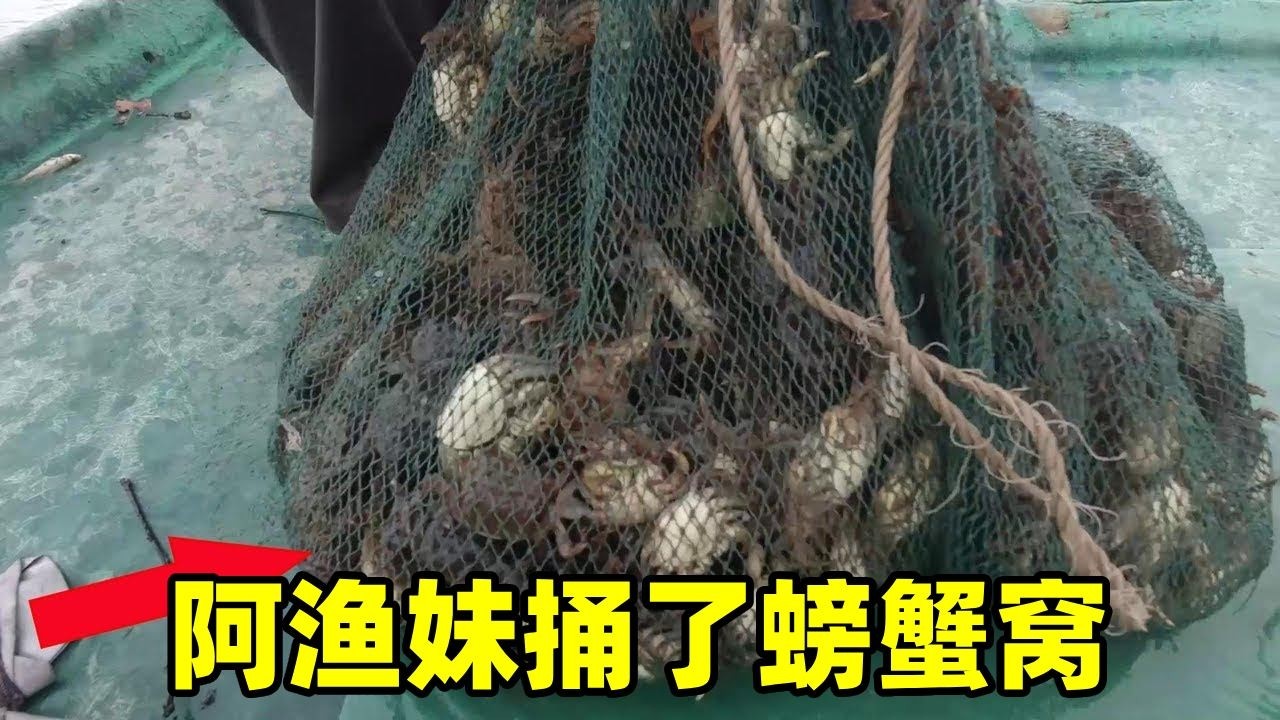 几个网笼都中了螃蟹窝，密密麻麻有上千只，阿渔妹第一次抓到这么多【阿渔妹】