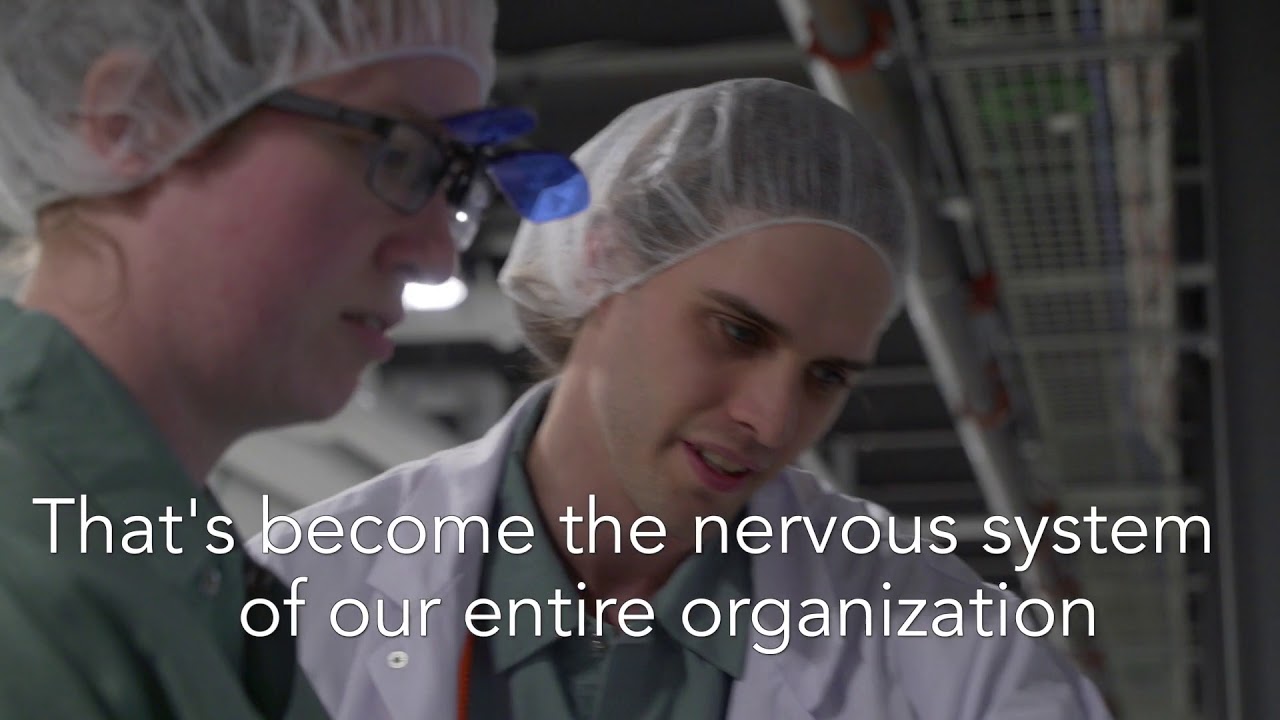 Welcome to Organigram March 2019