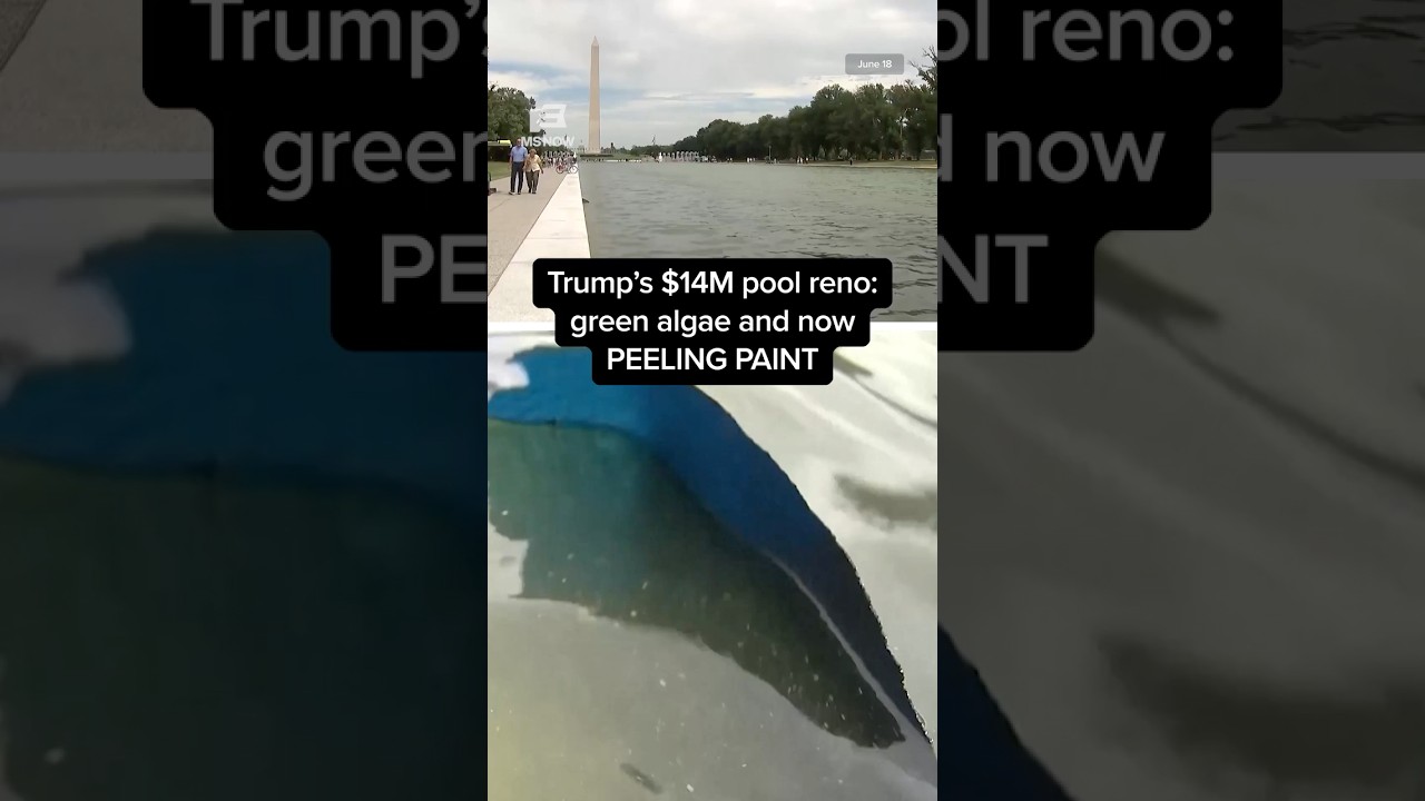 Trump's $14M pool reno: green algae and now PEELING PAINT