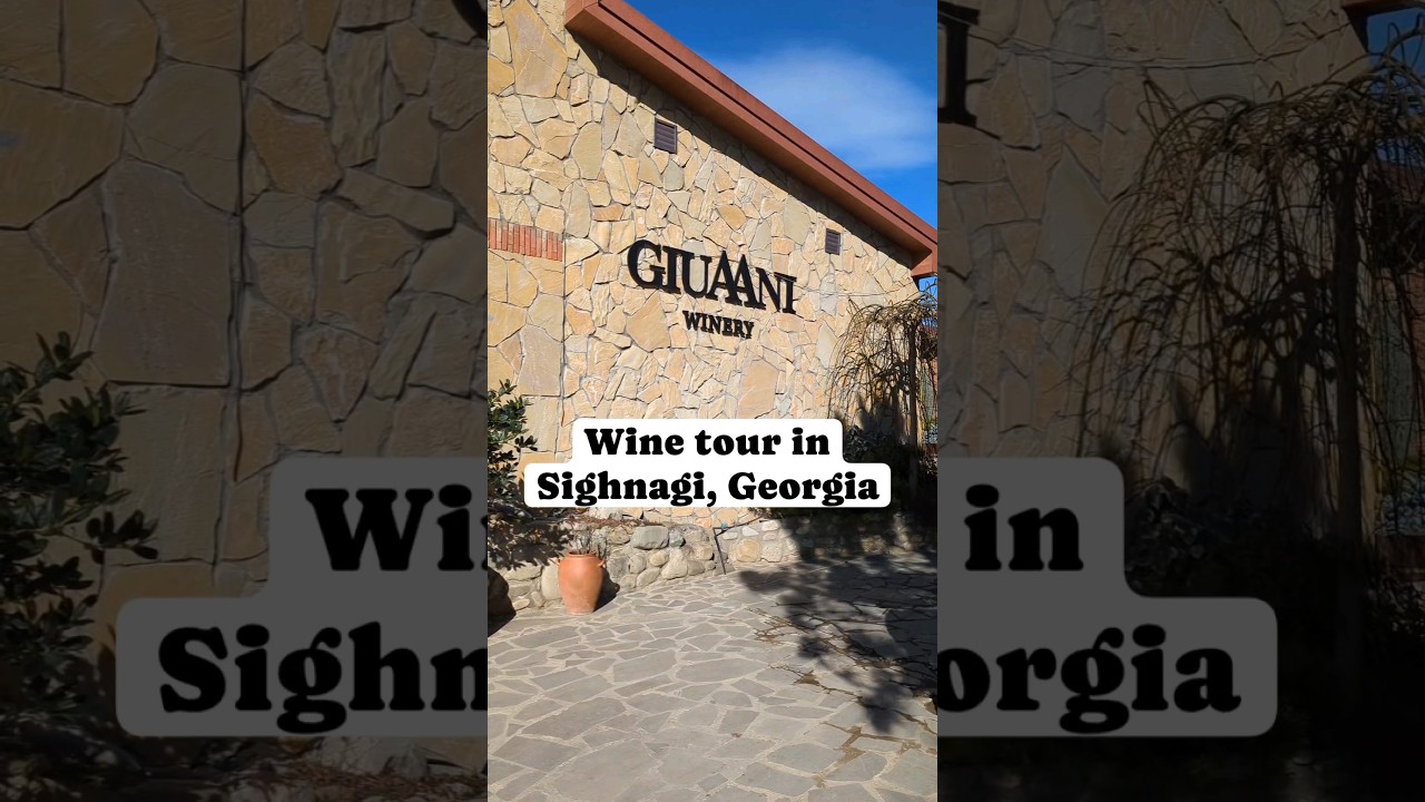 Wine tour in #Georgia | Visiting #wineries in #Sighnaghi, #Kakheti