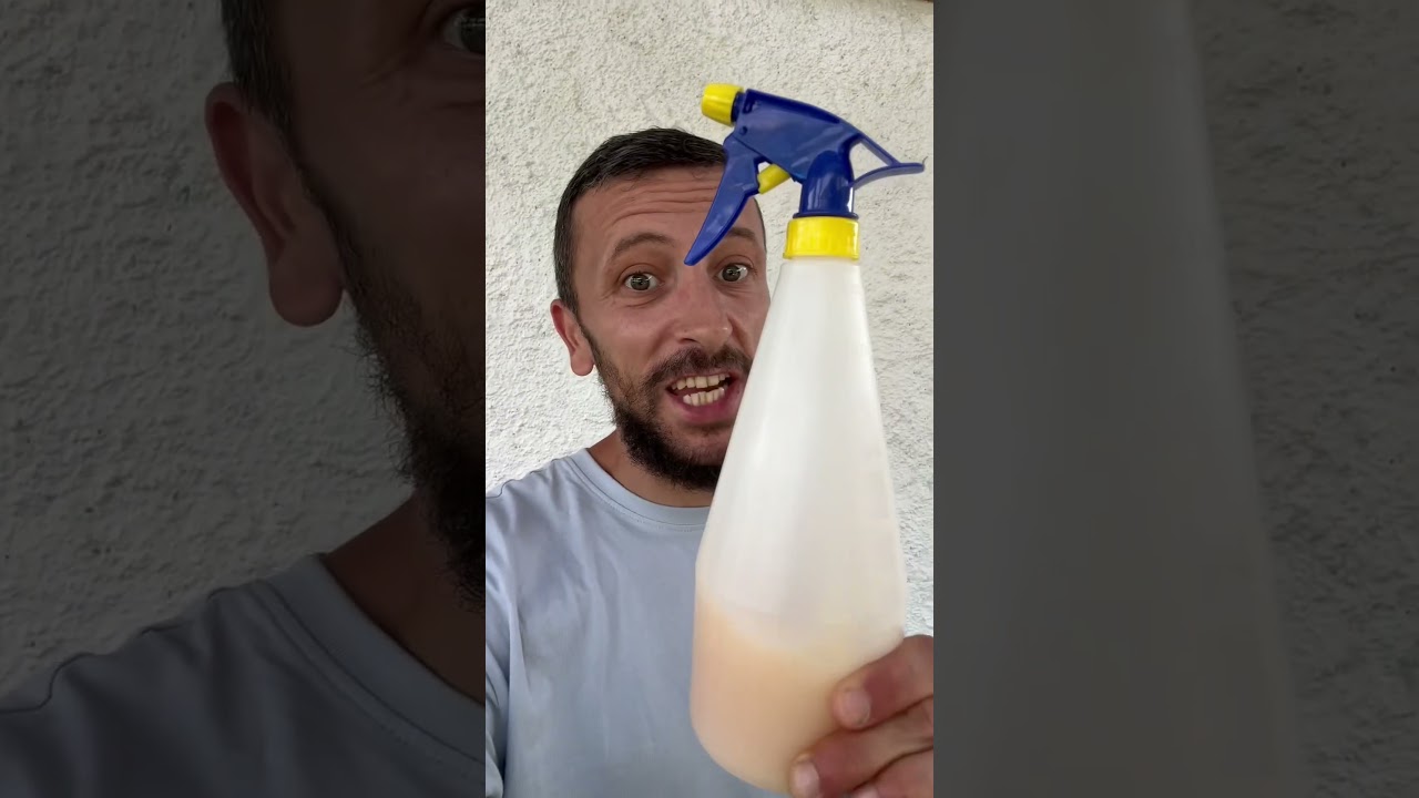 Fabrique un répulsif fourmis 🐜 