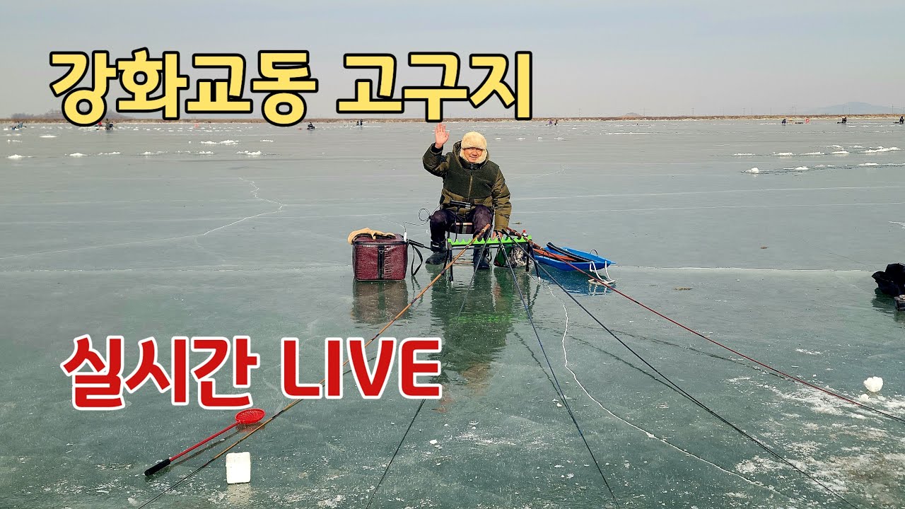 내일은 낚시왕TV 라이브 스트리밍 중