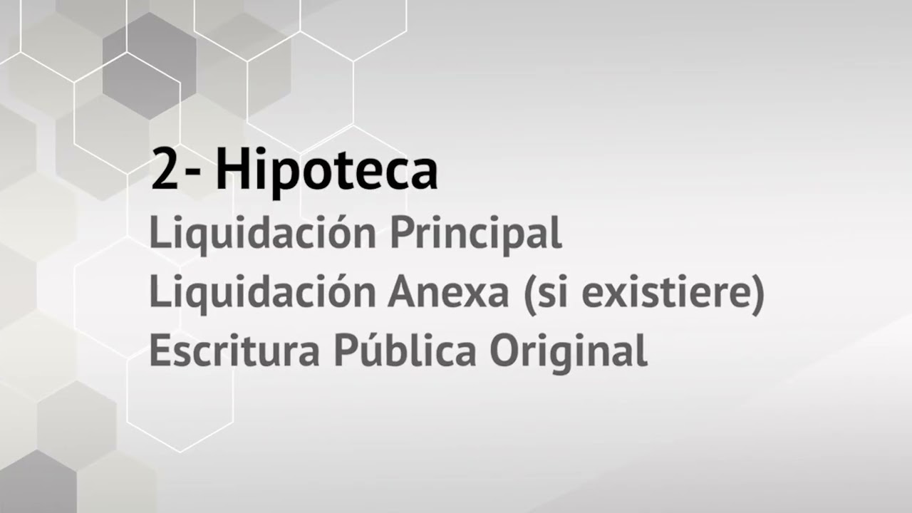 Gesti&oacute;n de fiscalizaci&oacute;n electr&oacute;nica registral - Tutorial