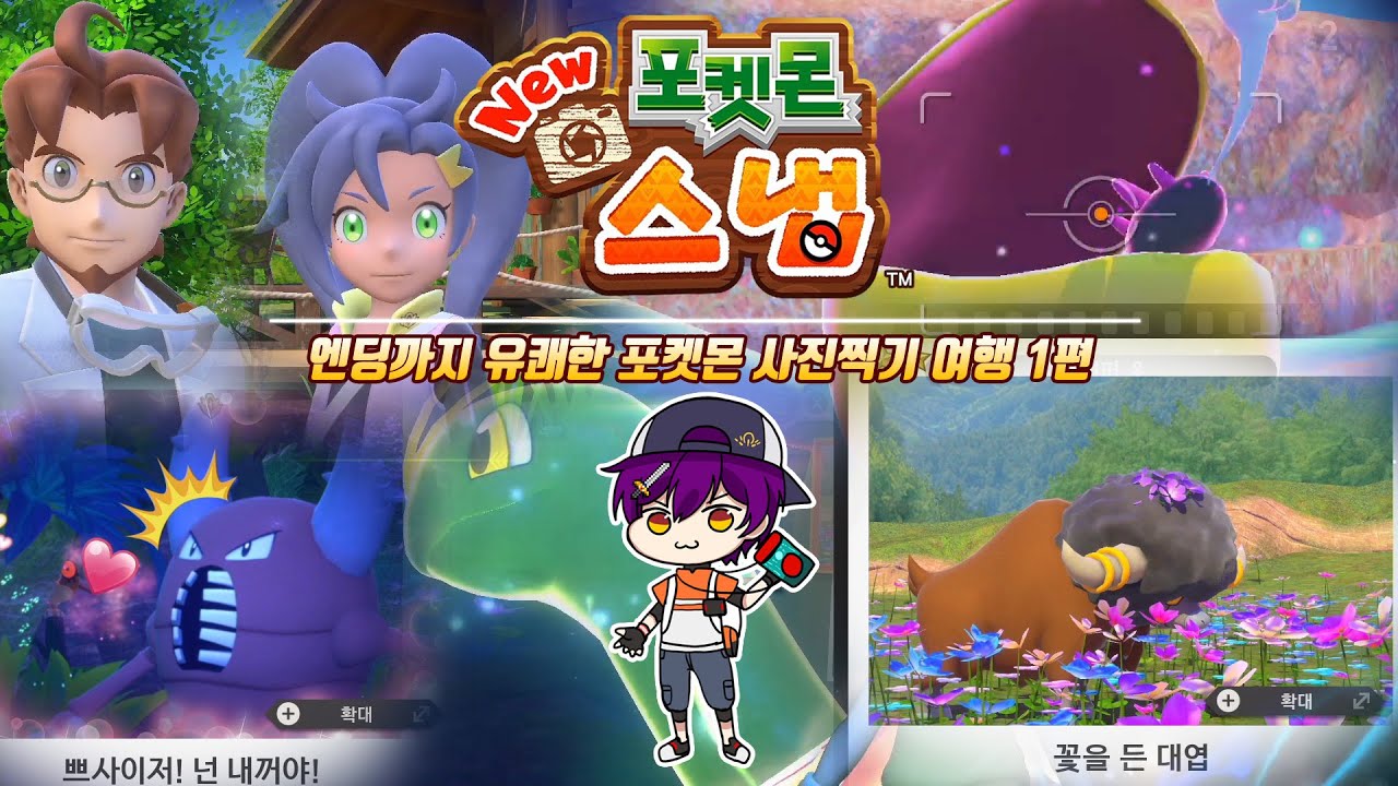 유쾌한 초특급 힐링 포켓몬의 세계! :: [New 포켓몬 스냅]