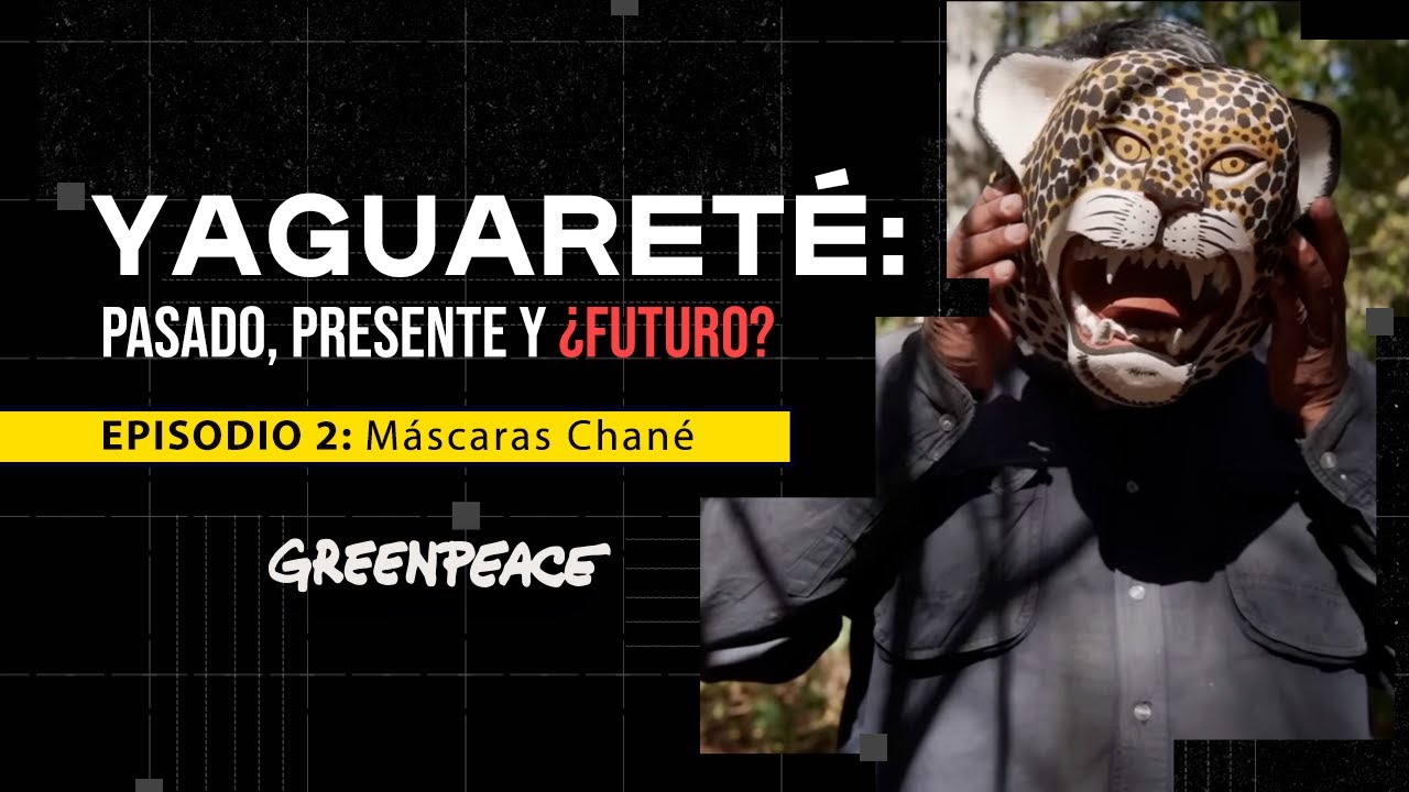 Yaguareté: pasado, presente y ¿futuro?- Episodio 2: Máscaras Chané
