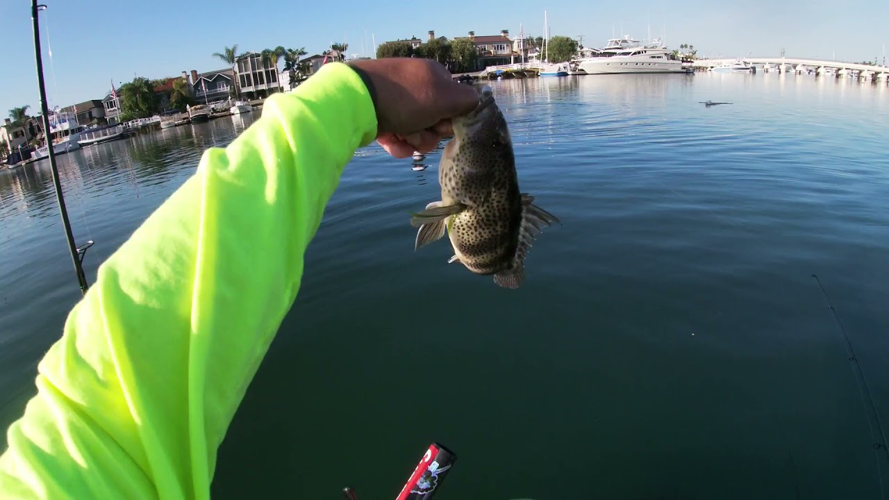 float tube fishing newport harbor after the oil spill with a unexpected visitor