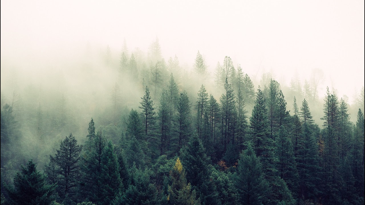 Timber Ridge Church - Conifer Live Stream