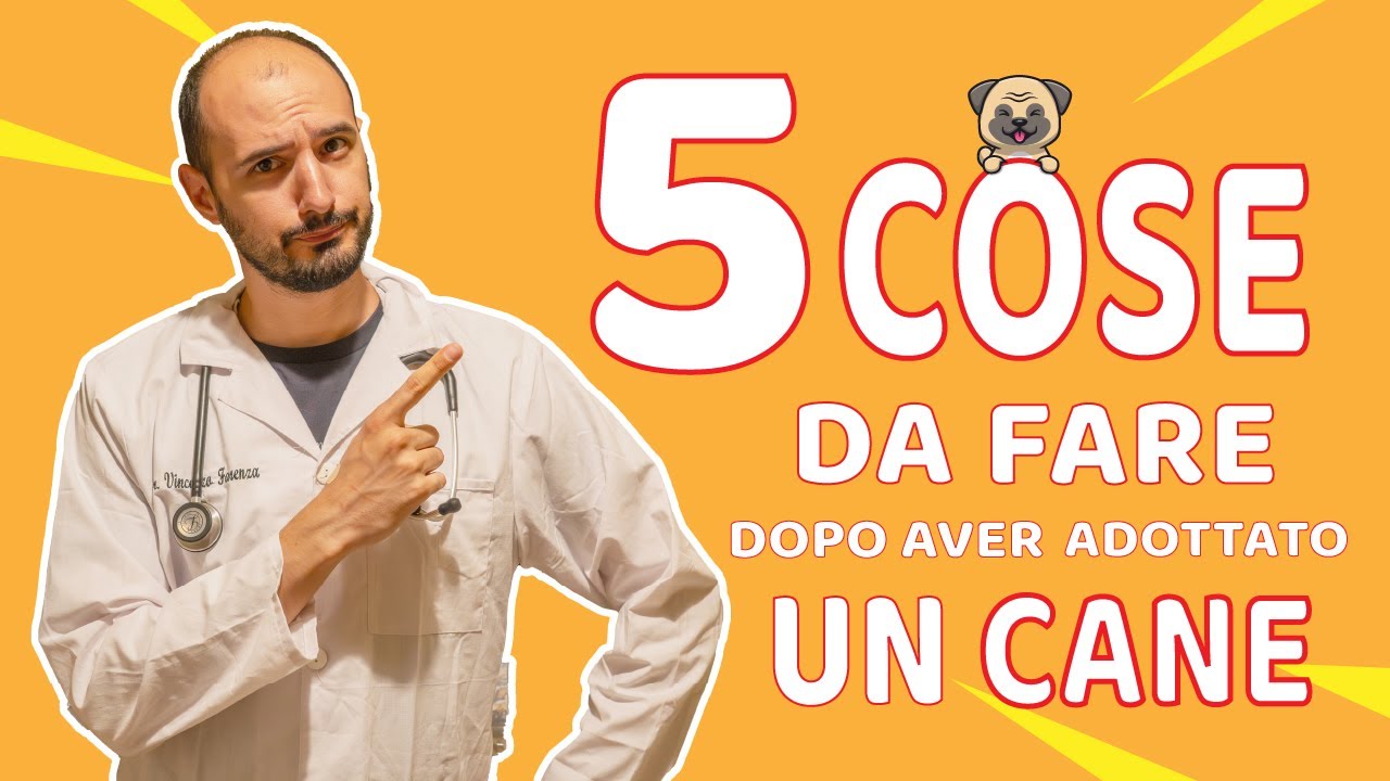 5 Cose da fare subito dopo aver Adottato un Cane.