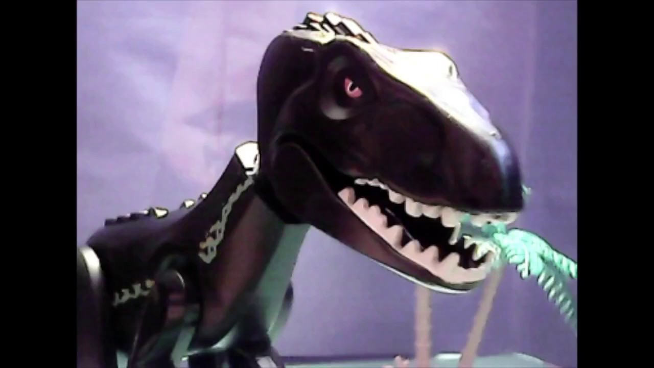 Happy Thanksgiving Critters and Dinosaurs Stop Motion 🦃