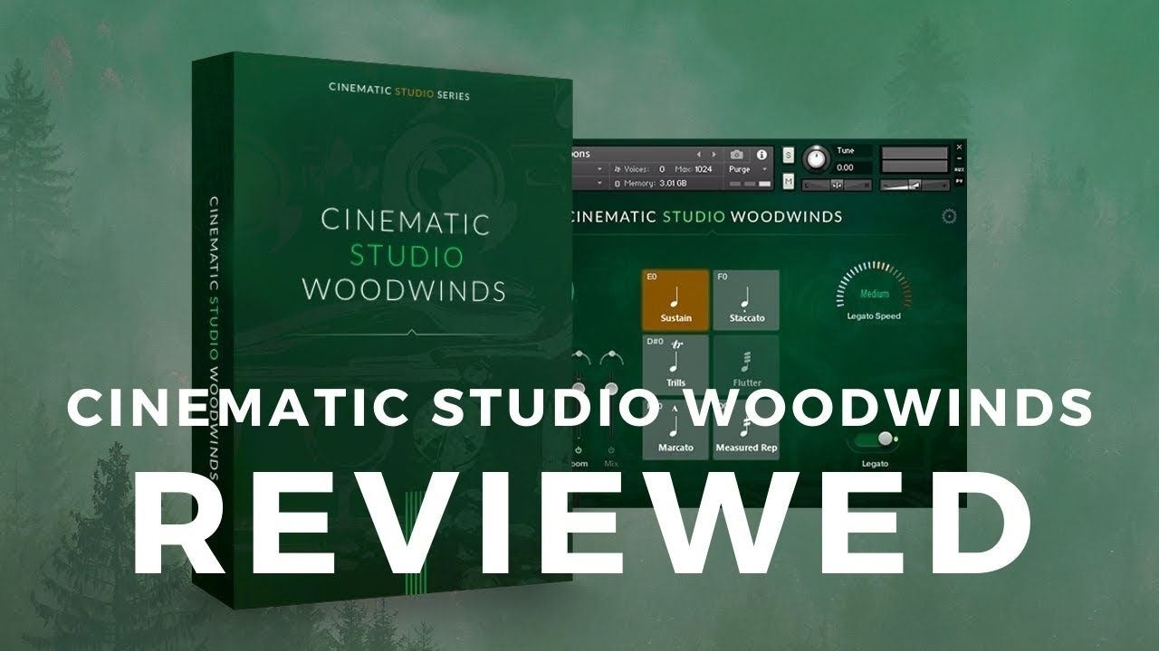 Cinematic Studio Woodwinds: A Review