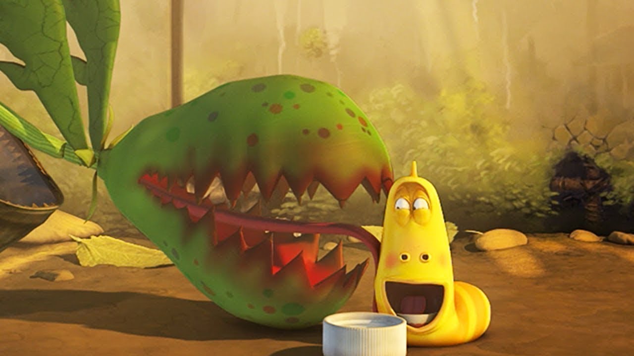 LARVA - PLANTA MELHOR AMIGO | Fatia de limão | Dos desenhos animados | Cartoons Para Crianças