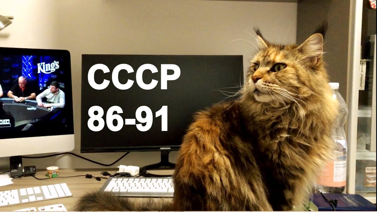 СССР и ЕДА. 1986 - 1991