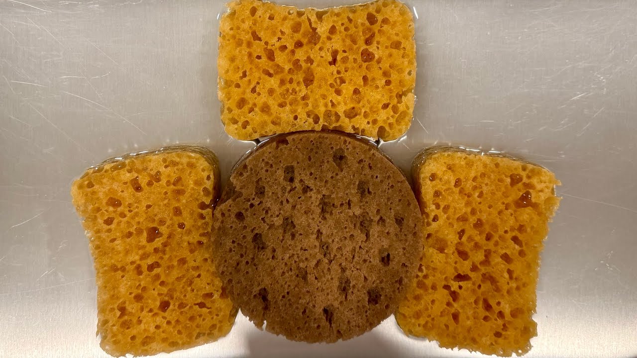 🤎🤎🤎🤎NEW Sponges Rinse - Just Clear Water. #spongerinse #asmrwatersounds #watersounds #asmrsponge 