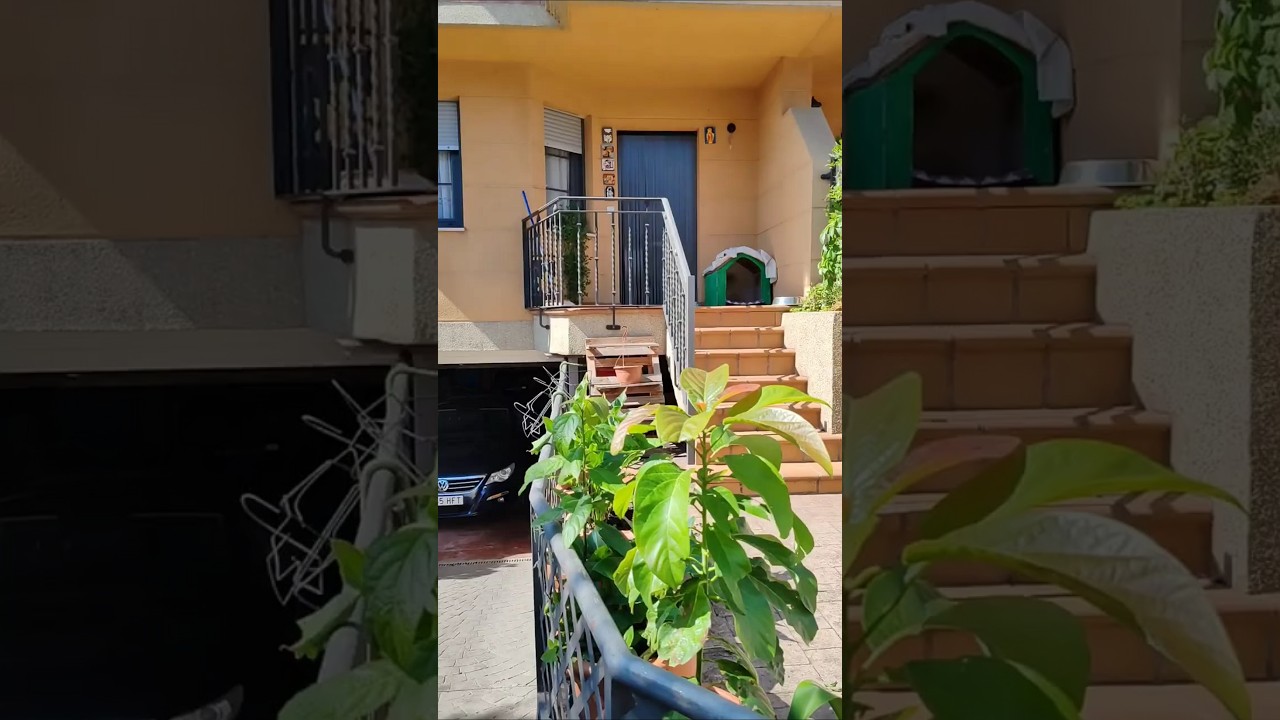 🏡𝙐𝙣 𝙘𝙝𝙖𝙡𝙚𝙩 𝙦𝙪𝙚 𝙣𝙤 𝙨𝙤𝙡𝙤 𝙨𝙚 𝙫𝙞𝙫𝙚, 𝙨𝙚 𝙙𝙞𝙨𝙛𝙧𝙪𝙩𝙖 &ndash; 𝙚𝙣 𝙎𝙖𝙣 𝘼𝙣𝙙𝙧&eacute;𝙨 𝙙𝙚𝙡 𝙍𝙖𝙗𝙖𝙣𝙚𝙙𝙤, #𝙇𝙚&oacute;𝙣Esp #ventadecasa