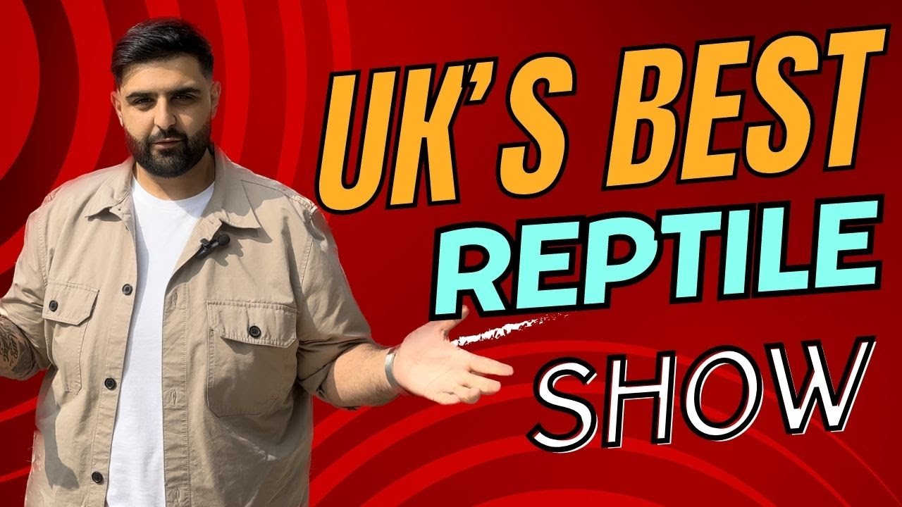 ЛУЧШЕЕ шоу рептилий в Великобритании | Эпизод 1 IHS Milton Keynes