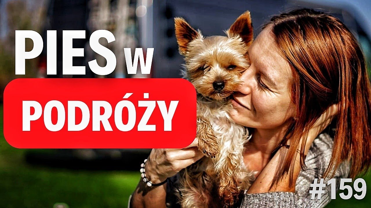 #160 Czy to możliwe żeby mniejszy panel dawał więcej?😮 i co pies zabiera w drogę🐶