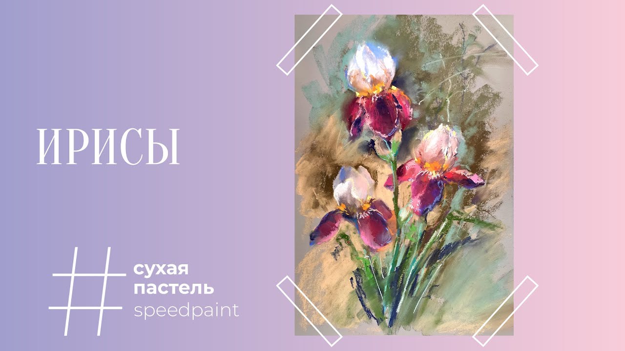 Ирисы • сухая пастель • Irises • soft pastel