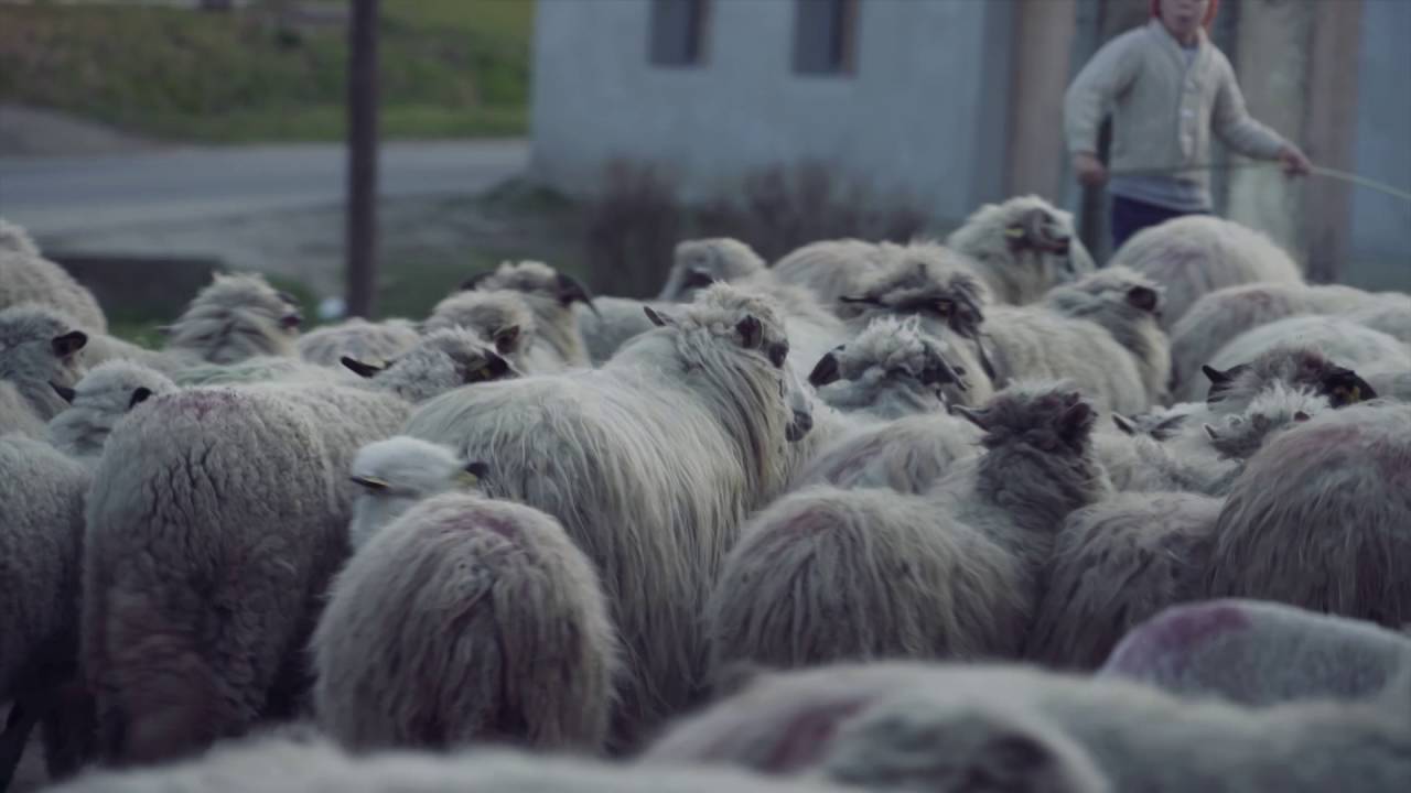 The Last Key holder - dir. Dorota Mazur, DOP. Robert Migas, Poland