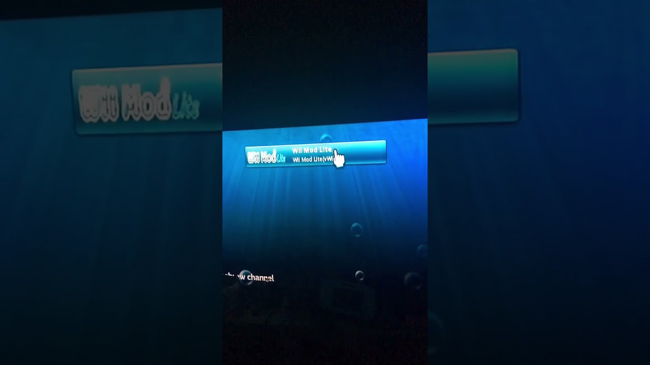Homebrew Channel on Wii 2021