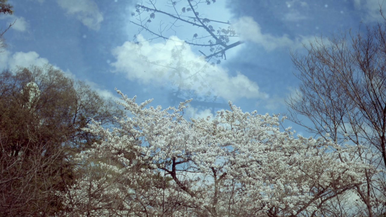 This Patch Of Sky - Last Victory