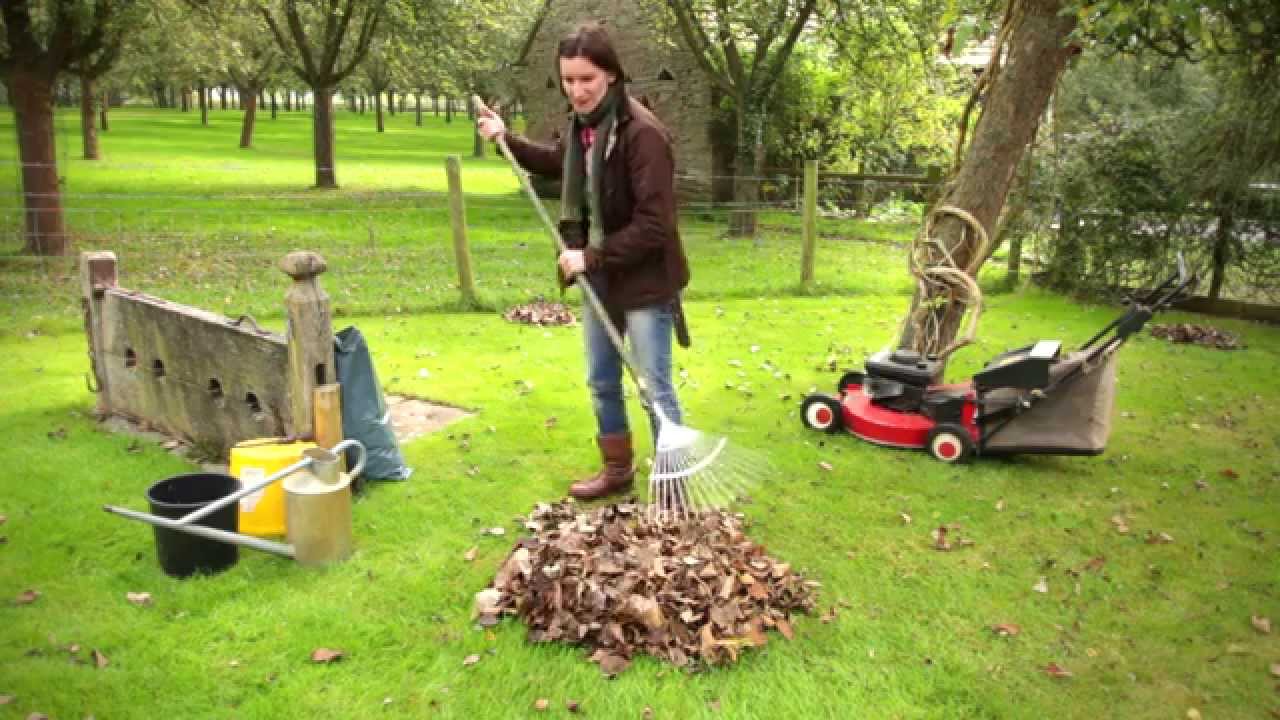 How to make leaf mould