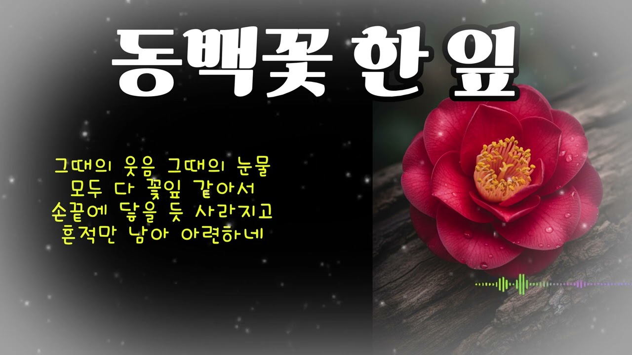 동백꽃한잎| 소름 돋는 감성 음악 |헤어나올 수 없는 마성의 트롯 #트롯마녀#감성#노래#2026년#음악 #트로트 #음원#감성#미스터트롯2#유튜브#k
