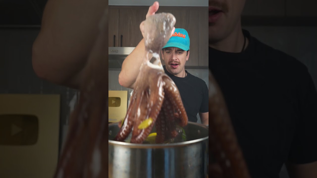Octopus