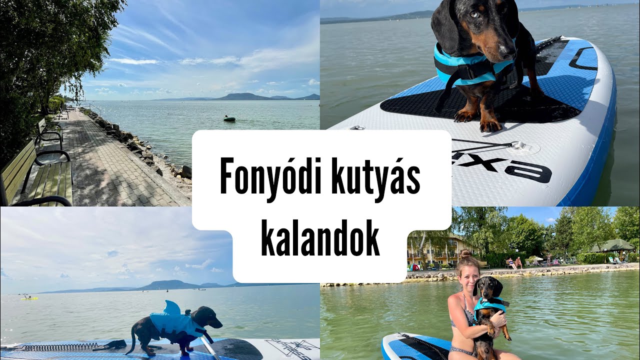 Fonyódi kutyás kalandok
