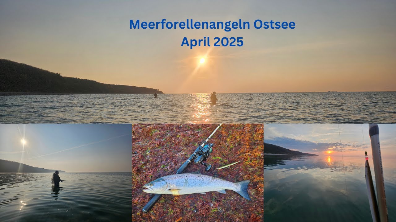 Meerforellenangeln Ostsee - April 2025