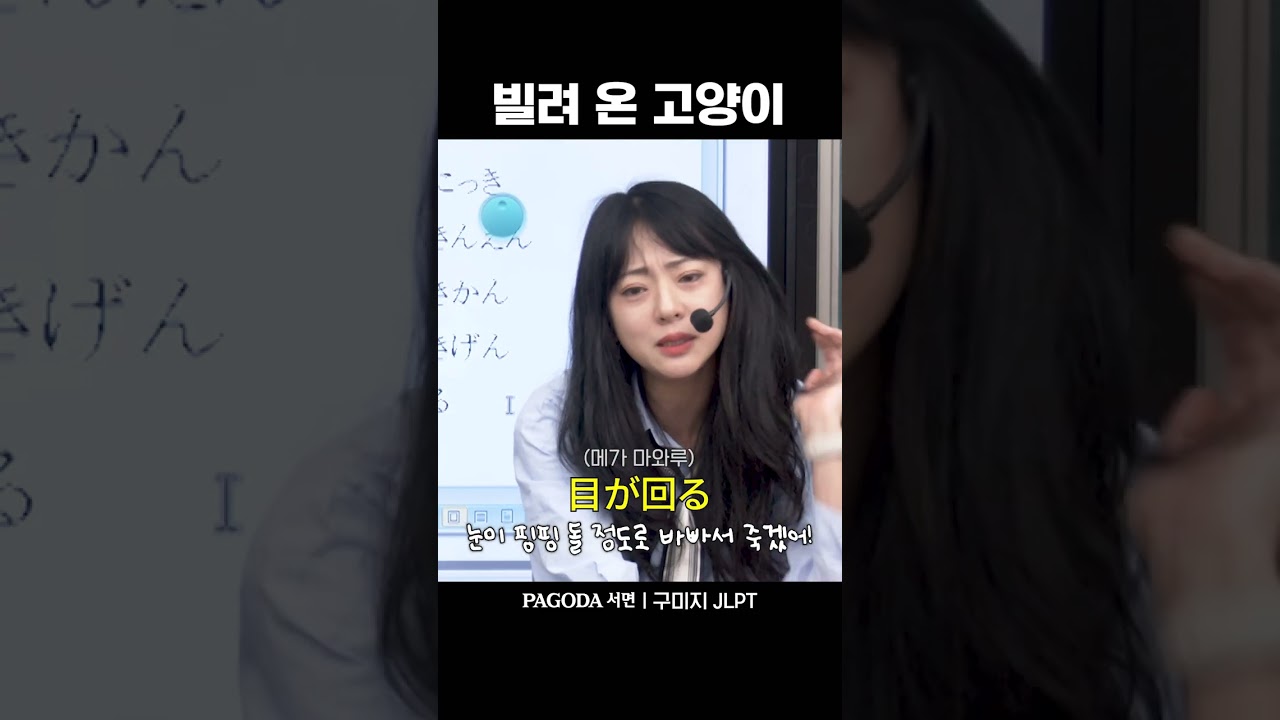 [구미지 일본어] 파고다 고양이 레오 손으로 숙제검사를?!🐱 feat. 오레오