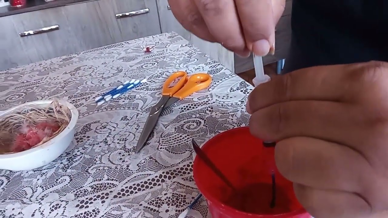 como fazer seringa caseira  pra alimentar os filhotes de can&aacute;rio.