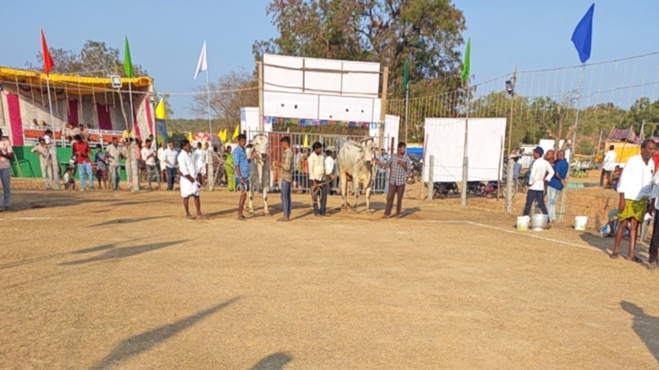 పోలేరమ్మ ఆశీస్సులతో 6 పళ్ళు వెలుగొండ 2026 