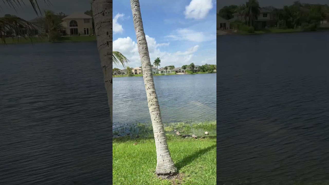 Pembroke Pines under $630K #affordablerealestate #southfloridarealestate #browardrealestate #ftl