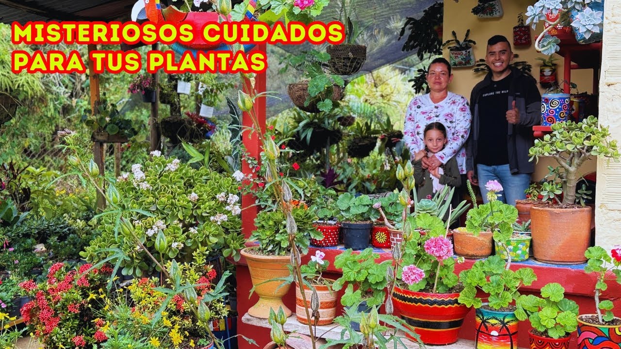 Gladys te contará TODO sobre su hermoso JARDÍN, consejos prácticos para tus PLANTAS |AP
