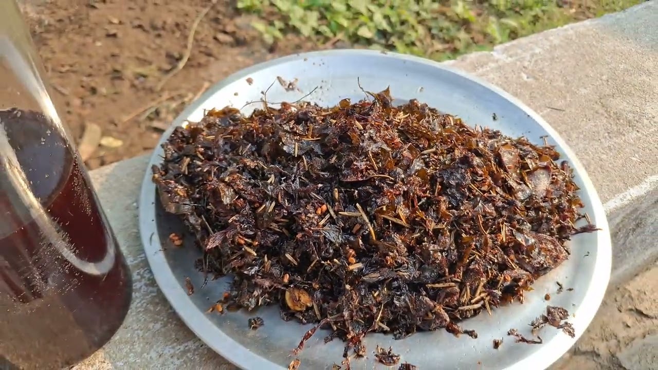 ఆయుర్వేద కొబ్బరి నూనె తయారీ   త్రి జగద్గురు పీఠం  నాగ ప్రతిష్ట   9030218866 